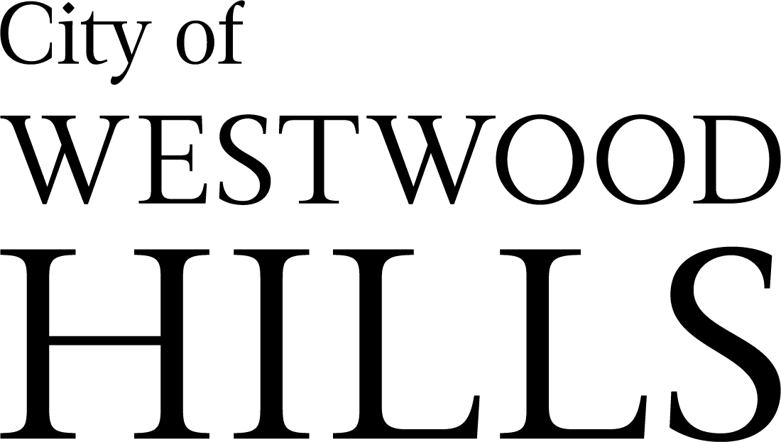 client image